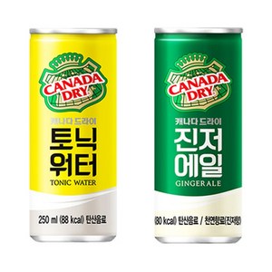 250ml x 20캔 캐나다드라이 하이볼 진저에일10+토닉워터10, 1세트