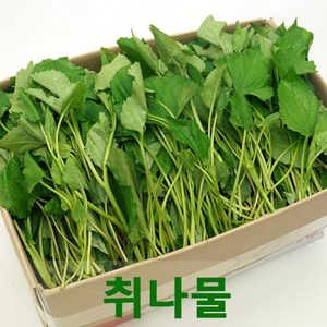 싱싱한 취나물4kg 참취나물 봄나물 웰빙채소, 4kg, 1개