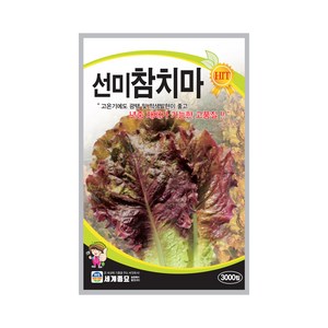 선미 참치마 상추씨앗 채소씨앗 야채씨앗 종자 3000알, 1개