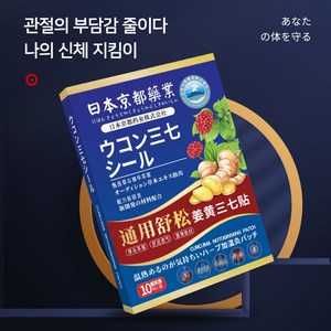 강황 삼칠 완화관절 패치 JH-37, 2개