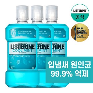 리스테린 쿨민트 구강청결제, 1L, 3개