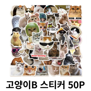 포임율영 캐리어 노트북 텀블러 다꾸 꾸미기 스티커 50P, 고양이B