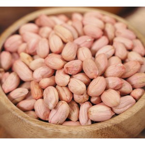 중국산 2024년산 햇 생땅콩 큰알, 1kg, 1개
