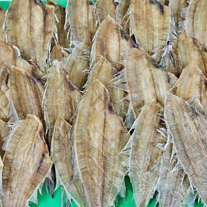 동해안 완전건조 반손질 두절 가자미 (미주구리 500g), 1개