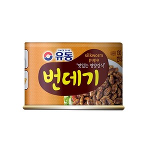 유동 번데기, 130g, 24개