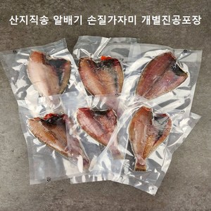 [국내산 가자미] 산지직송 알배기 손질반건조 중사이즈 개별진공포장 급냉, 1팩, 500g+500g