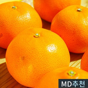 당도선별 고당도 제주 감귤, 1개, 로얄과 5KG(2S~L)