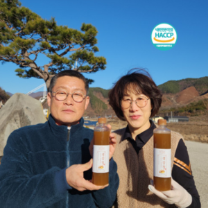 (무료배송)﻿ 지리산 산골장터 생강청 생강진액차 600g ﻿, 1개