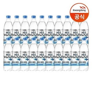 [광동직송] 아이스웨일 플레인 500ml x20병 /탄산수, 20개