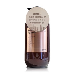 려 자양윤모 탈모전문증상케어 샴푸 서울석양, 585ml, 1개