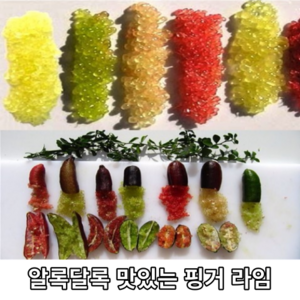 호주산 맛있는 핑거 라임 (냉동) 100g 미슐렝 특이한 특색 asm 야채 채소 열매 과일 묘목 간식 레몬 고급 식재료 캐비어 라임, 1개