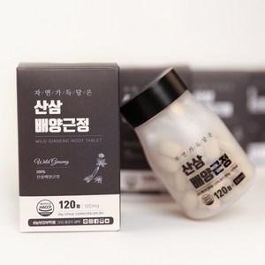 산삼 배양근정 환 500mg X 120정, 60g, 2개, 60ml