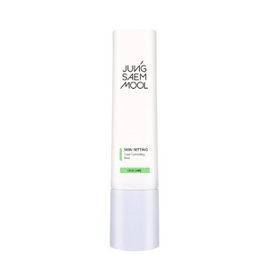 정샘물 스킨 세팅 톤 코렉팅 베이스 40ml, 1개