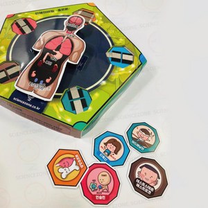 [아페페] 호르몬 역할 분비기관 과학만들기세트 탐구활동 초등교구 돌봄교실 SZ6360, 1개