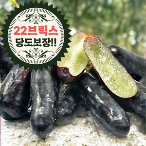 오라밀 신선한 고당도 블랙 사파이어 포도, 1개, 2kg