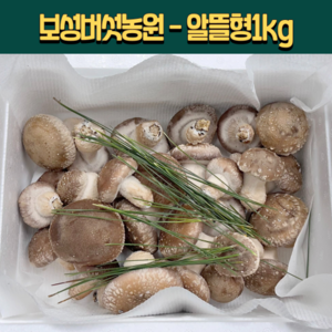 [븟븟] 보성버섯농원 송화고 송고 송화버섯 (알뜰형) 1kg, 1세트, 1kg (알뜰A급)