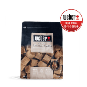 웨버 라이터 큐브 48p, 600g, 1개