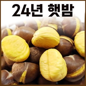 명품약단밤 24년 햇 약단밤 칼집약단밤 1kg [구워먹는밤], 1개