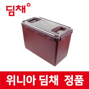 위니아 정품 HDL22GPSPS 딤채 냉장고 14.1L 김치 용기 보관 통 함 밀폐 투명EZ생생 wnk02848