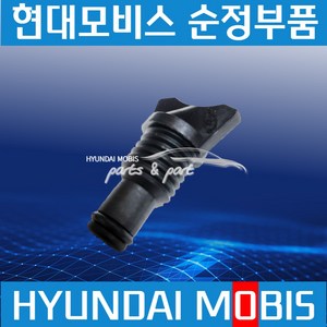 파비스 메가트럭 E마이티 올뉴마이티 라디에이터 코크 드레인코크 순정 254746C000