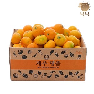 제주 귤 감귤 조생귤 2kg/3kg/4.5kg, 1박스, 중대과(L-3L) 1.5kg