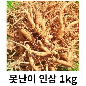 인삼 못난이 인삼 5년근 6년근 1kg 파지 못난이 삼계탕 인삼 홍삼 못난이 인삼 1kg 홍삼용, 1kg 인삼 파삼 세척( 0 ), 1개