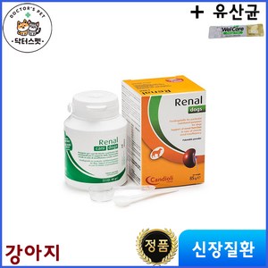 [정품] 레날 독스 85g / Renal dogs / 신장질환 개선 보조제 / 신부전치료 영양제 / 국내 정식 수입제품 (동물병원전용 정품) + 웰케어 유산균, 1개