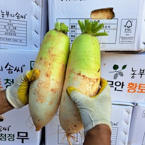 채소애 무 5kg, 1개