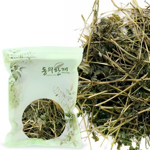 동의한재 제주도 돌외잎, 100g, 1개