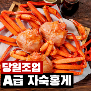 [당일조업] 산지직송 프리미엄 자숙 박달 홍게 속초 홍게찜, 1개, 3kg(7~11미내외)