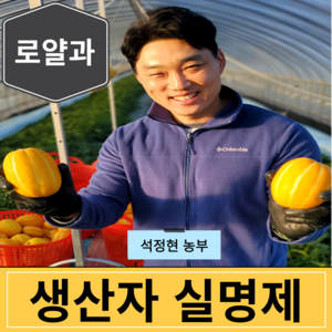 [생산자직송] 고당도 최상급 성주 참외 3kg 5kg 10kg, 1세트, [가정용] 로얄과 2kg