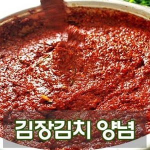 [당일 발송] 국산 김장 김치 양념, 10kg, 1개