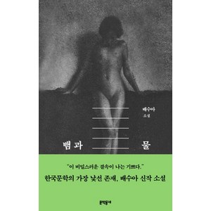 뱀과 물:배수아 소설, 문학동네, 배수아