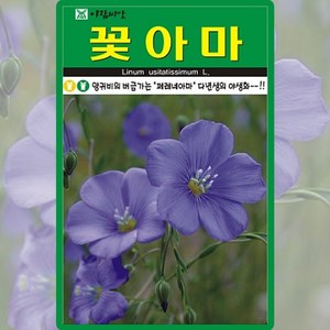 아람종묘 꽃아마 씨앗 200립 아마 꽃씨 다년생 야생화 종자, 1개