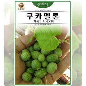 쿠카멜론 멕시코 미니오이 10립 과채류 샐러드용 텃밭가꾸기 토종채소 야생나물 국거리