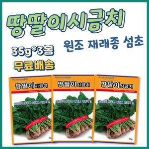 주주씨앗 땅딸이시금치 씨앗 35g 3봉 겨울 월동 재래종 섬초 종자 씨, 1세트