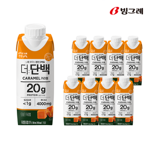 빙그레 더단백 드링크 카라멜, 250ml, 9개