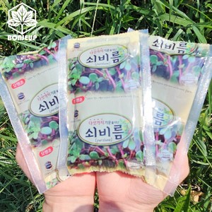 100% 국내산 고흥 쇠비름즙 쇠비름진액, 30개, 100ml