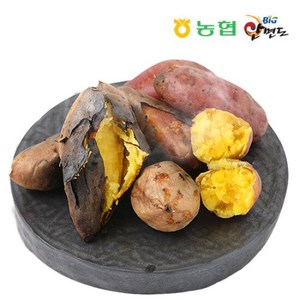 안면도농협 못난이 호박고구마 10kg, 1개