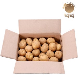 감자 두백감자 중사이즈 대사이즈, 1박스, 5kg, 대사이즈(개당 90-150g)