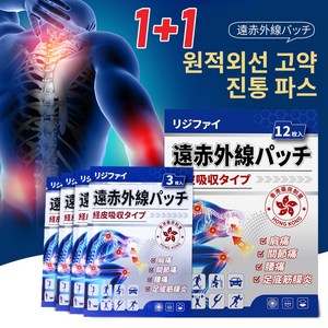 [국내당일발송] 1+1 일본 병원 강력한 목어깨 팔다리 손목 무릎 척추 근육통 완화 통증 관절파스 염증 소염제 패치, 2개, 12매입