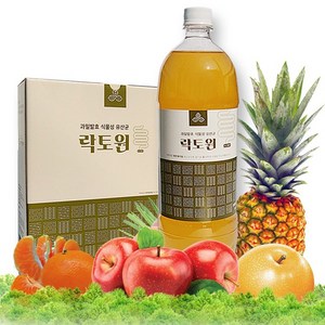 락토원1.5L(1병) 과일발효 식물성 생유산균 장건강 퀀텀비즈, 1개, 1.5L