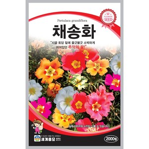 [모종심는아빠] 시골 토담 밑에 울긋불긋 소박하게 피어있던 추억의 꽃 채송화 꽃씨 2000립, 1개