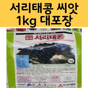 [2023년 씨앗] 모두다팜 서리태 서리태콩 씨 씨앗 종자 대용량 1kg 콩종자, 서리태콩 씨앗 1kg, 1개