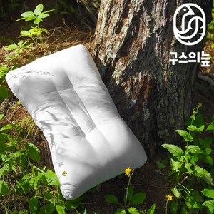 (낮은형) 구스의 늪 베개 + 베개커버 2개, 화이트(WHITE), 1개