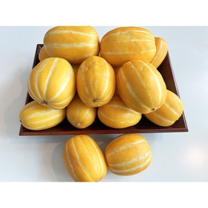 [디얼스마켓] 당일수확 성주 꿀 참외 산지직송 달콤 아삭 당도 보장, 1박스, 가정용 참외 2kg