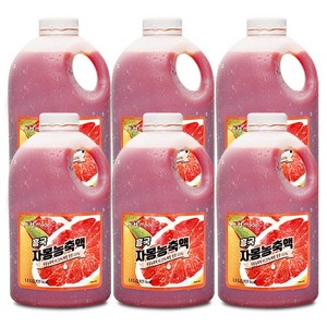 흥국 자몽농축액 1.5L 1박스 6개