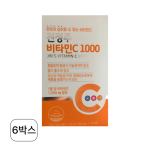 진정주 비타C1000 x 1100mg 600정 진정주몰, 100정, 6개