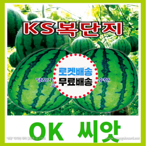 [OK씨앗] [KS복단지수박] 수박씨앗 종자(오케이씨앗), 1개