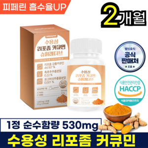 웰빙홀릭 수용성 리포좀 커큐민 강황 영양제 높은흡수율 HACCP식약처인증, 1박스, 60정